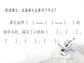 部编版语文三年级下册 15《小虾》课件+逐字稿+音视频素材