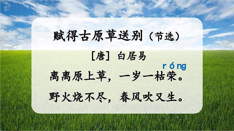 统编版小学语文二年级下册 课文1《语文园地一》教学课件（第二课时）第4页