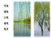 统编版小学语文二年级下册 课文1 1《古诗二首》学习任务群教学课件