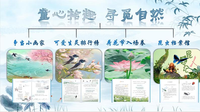 3.荷花课件（第一课时）第2页