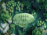 統(tǒng)編版語文一年級下冊 12《荷葉圓圓》課件+教案+音視頻素材