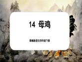【核心素養(yǎng)-任務(wù)型】部編版語文四年級(jí)下冊(cè) 14《母雞》課件+教案+音視頻素材