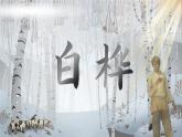 【核心素養(yǎng)-任務(wù)型】部編版語文四年級(jí)下冊(cè) 11《白樺》課件+教案+音視頻素材