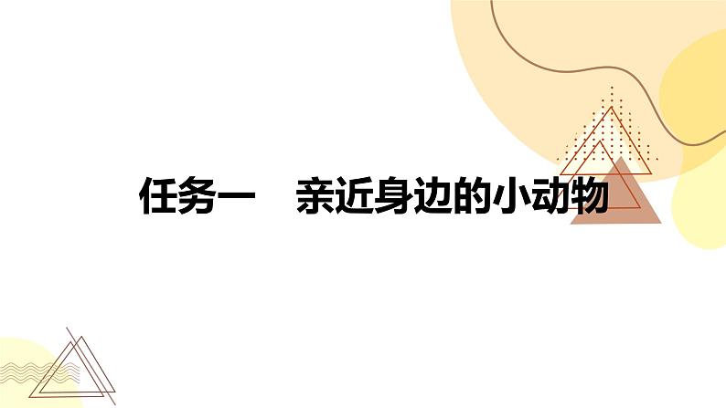 部编版小学语文四下第四单元大单元任务群教学设计课件第3页