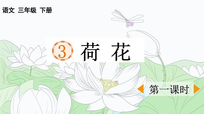 统编版小学语文三年级下册 第一单元 3《荷花》优质课件（第一课时）第1页