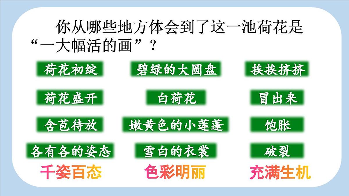 统编版小学语文三年级下册 第一单元 3《荷花》新课标课件（第二课时）第4页