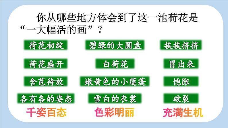 统编版小学语文三年级下册 第一单元 3《荷花》新课标课件（第二课时）第4页