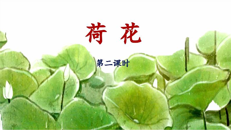 统编版小学语文三年级下册 第一单元 3《荷花》 课件（第二课时）第1页