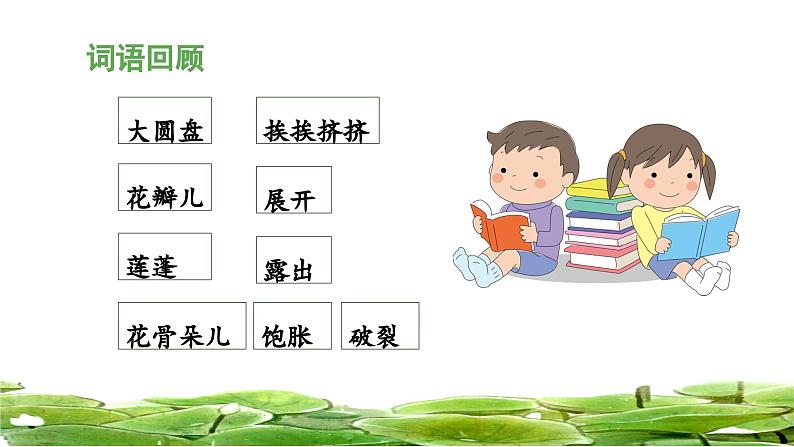 统编版小学语文三年级下册 第一单元 3《荷花》 课件（第二课时）第3页