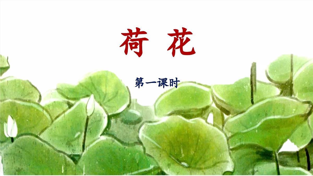 统编版小学语文三年级下册 第一单元 3《荷花》 课件（第一课时）第1页