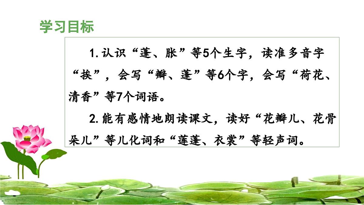 统编版小学语文三年级下册 第一单元 3《荷花》 课件（第一课时）第2页