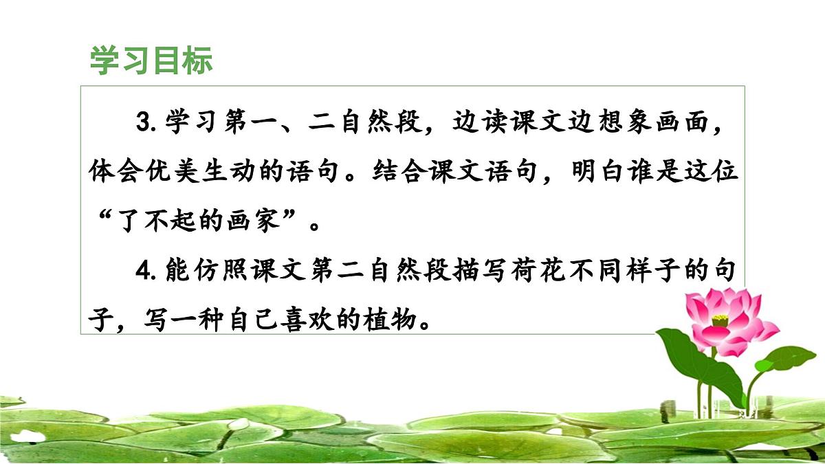 统编版小学语文三年级下册 第一单元 3《荷花》 课件（第一课时）第3页