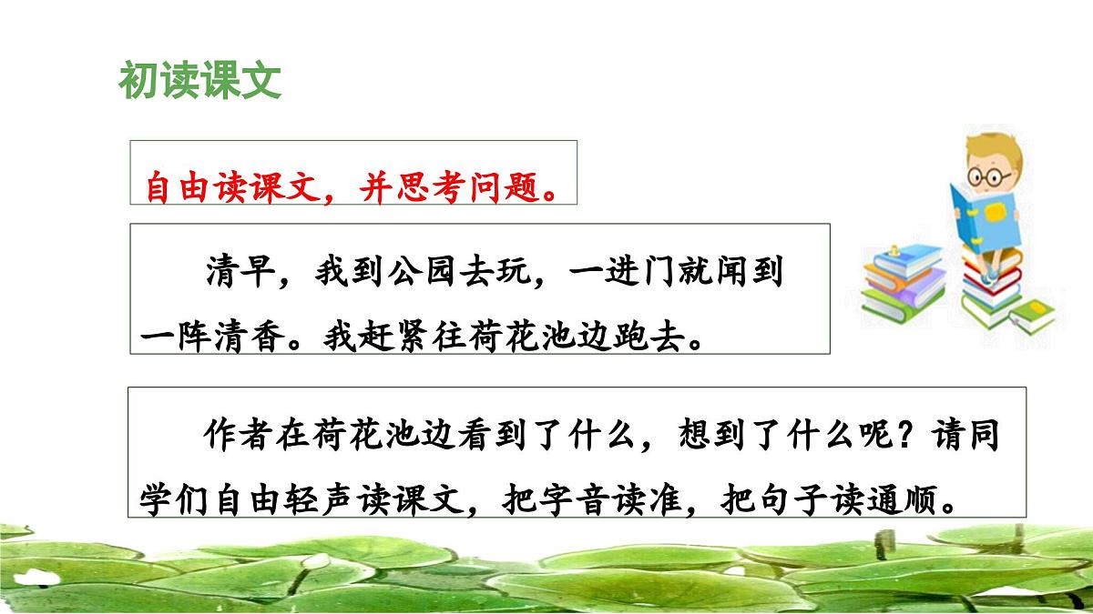 统编版小学语文三年级下册 第一单元 3《荷花》 课件（第一课时）第6页