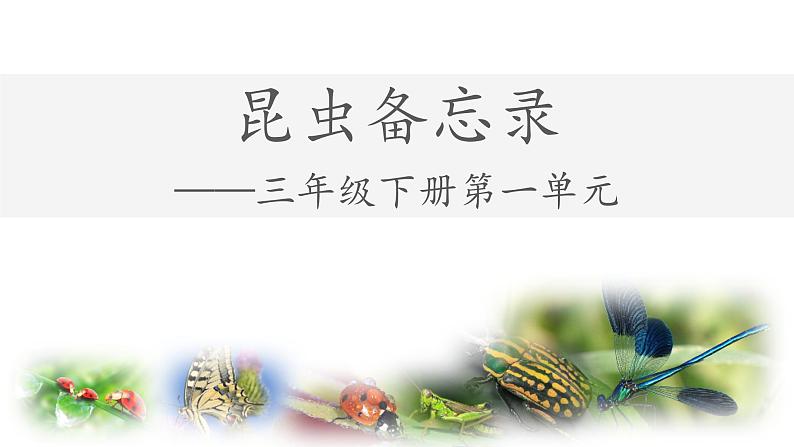 统编版小学语文三年级下册 第一单元 4《昆虫备忘录》学习任务群教学课件第1页