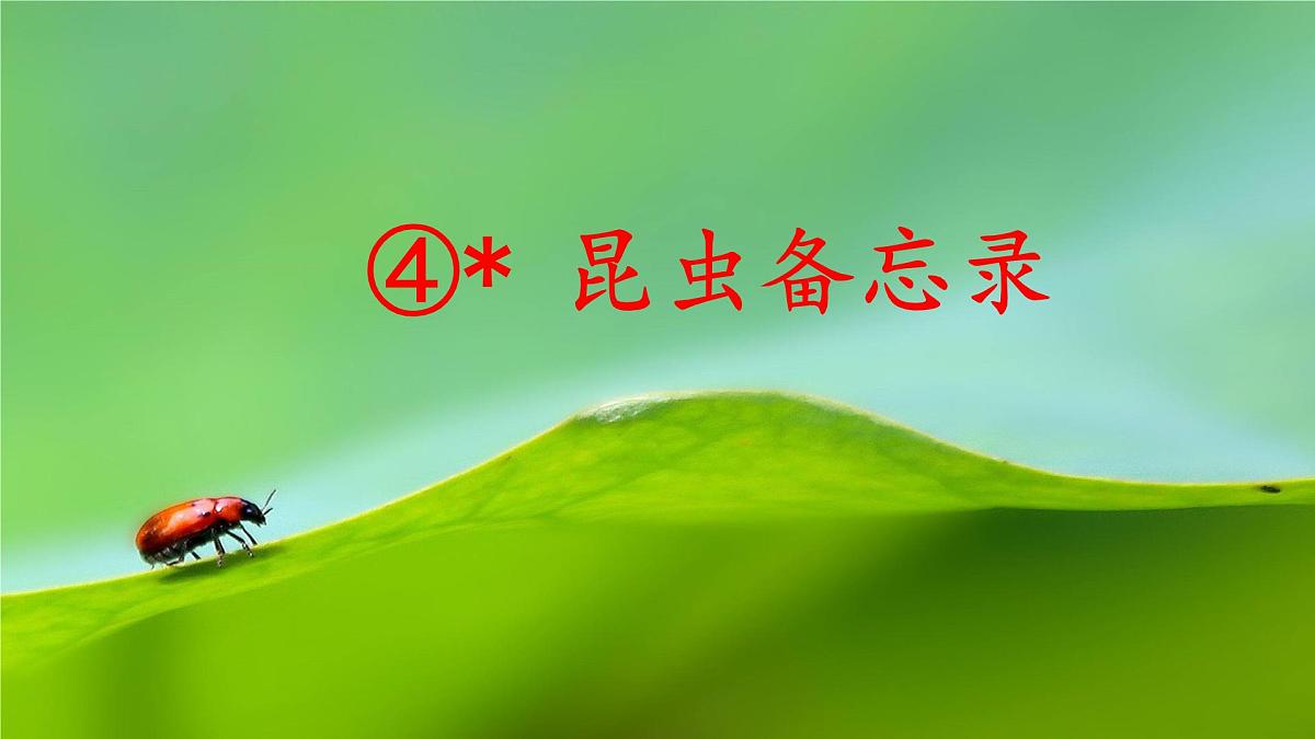 统编版小学语文三年级下册 第一单元 4《昆虫备忘录》课件第1页