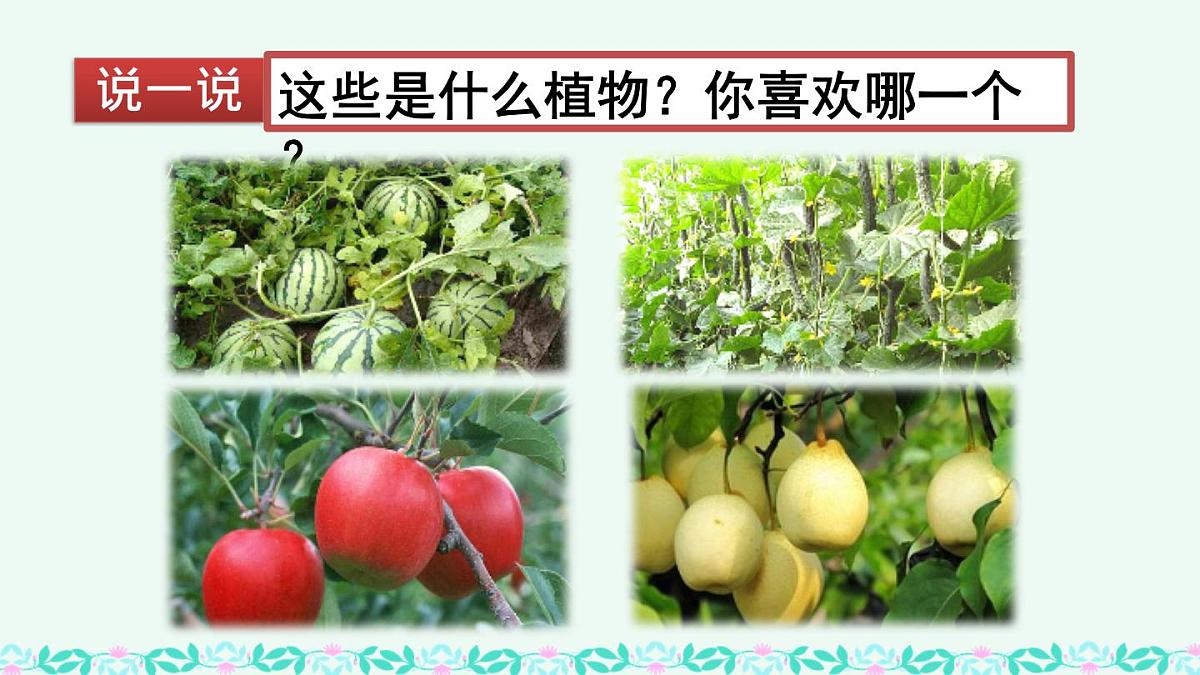 统编版小学语文三年级下册 第一单元《习作：我的植物朋友》课件（第一课时）第1页