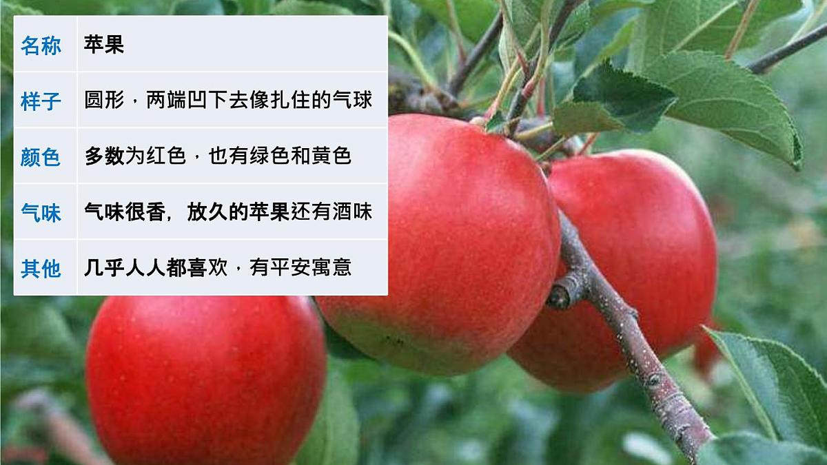 统编版小学语文三年级下册 第一单元《习作：我的植物朋友》课件（第一课时）第4页