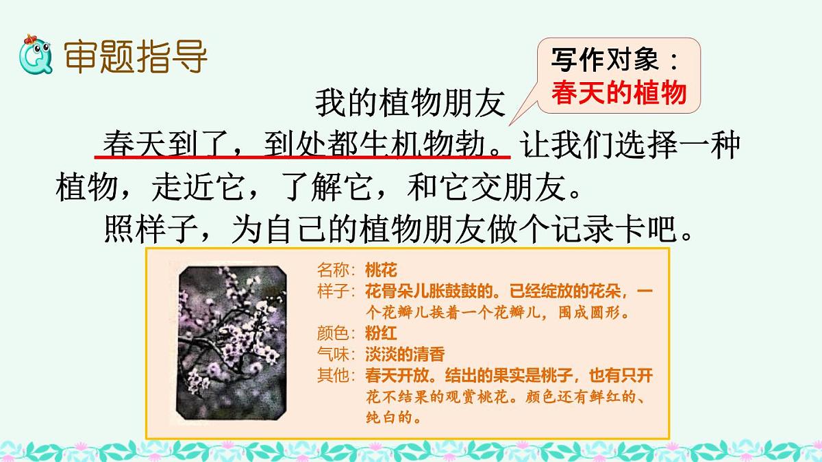 统编版小学语文三年级下册 第一单元《习作：我的植物朋友》课件（第一课时）第8页