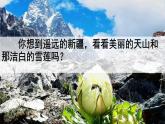3《我多想去看看》+课件-2024-2025学年语文一年级下册统编版