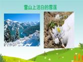 3《我多想去看看》课件-2024-2025学年语文一年级下册（部编版）