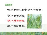 统编版小学语文五年级下册 第一单元 2《祖父的园子》 课件（第二课时）