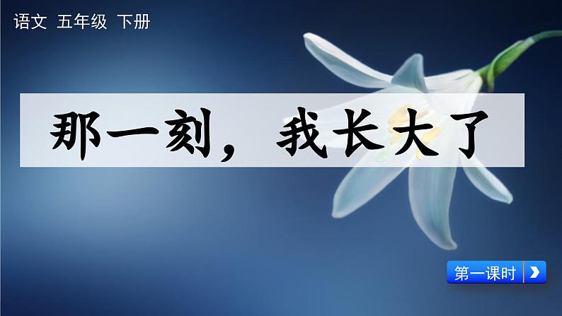 统编版小学语文五年级下册 第一单元《习作：那一刻，我长大了》课件（第一课时）第5页