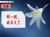 统编版小学语文五年级下册 第一单元《习作：那一刻，我长大了》课件