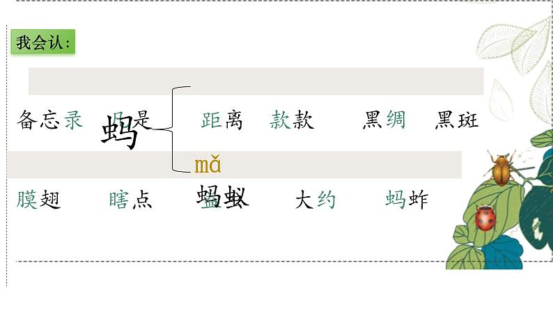 部编版小学语文三年级下册第4课《昆虫备忘录》课件第6页
