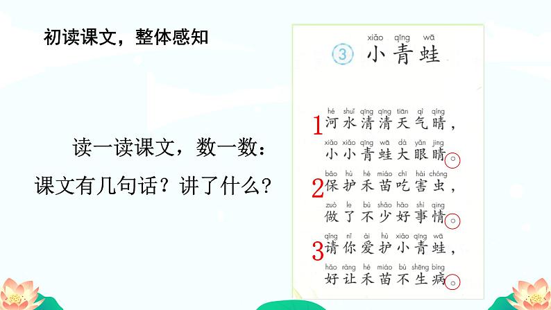 部编版小学语文一下第一单元大单元《小青蛙》教学设计课件第3页