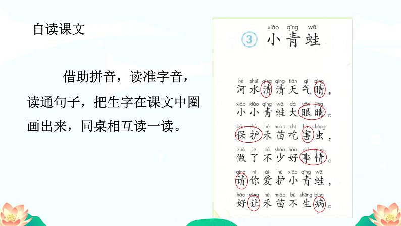 部编版小学语文一下第一单元大单元《小青蛙》教学设计课件第5页