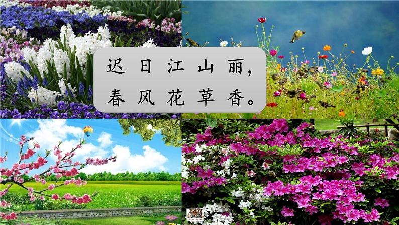 部编版小学语文三年级下册第1单元《口语交际：春游去哪儿》课件第3页