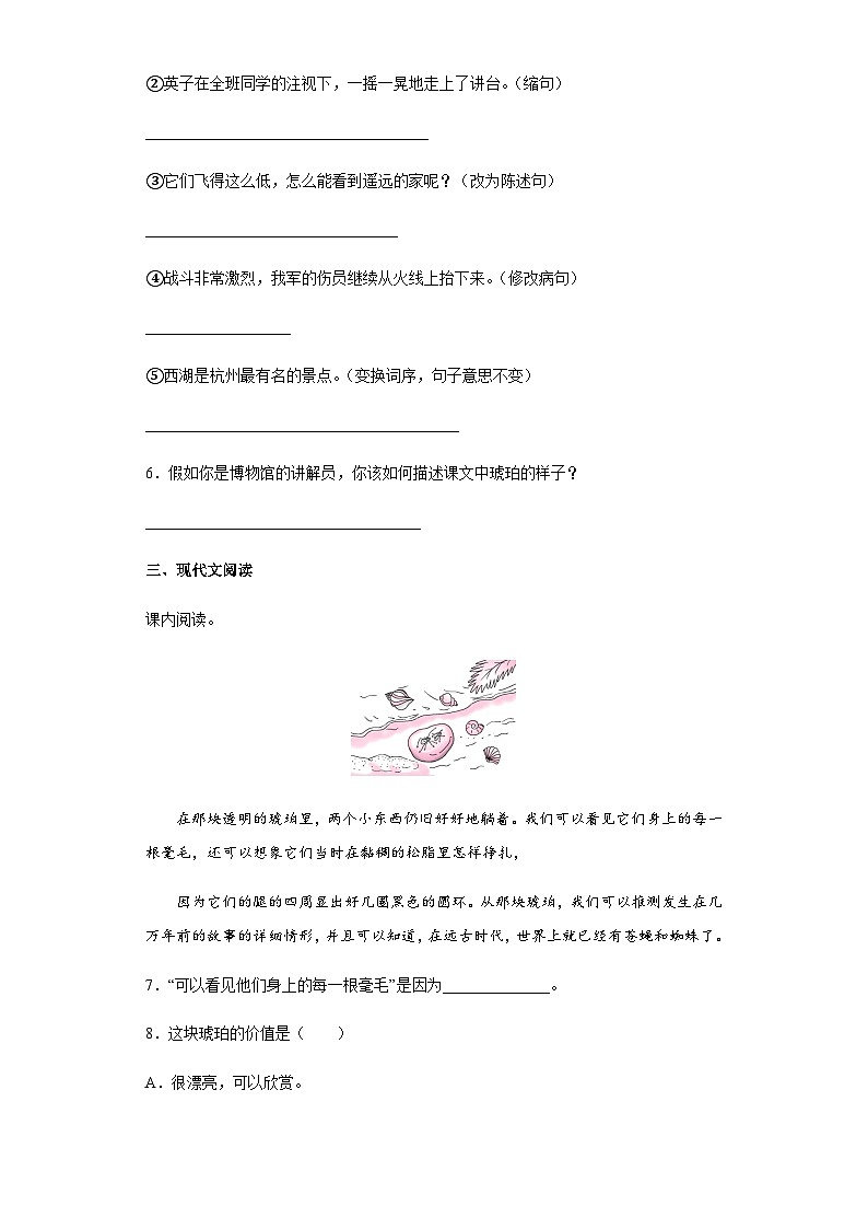 部编版四年级下册语文第5课《琥珀》课时练2（含答案）第2页