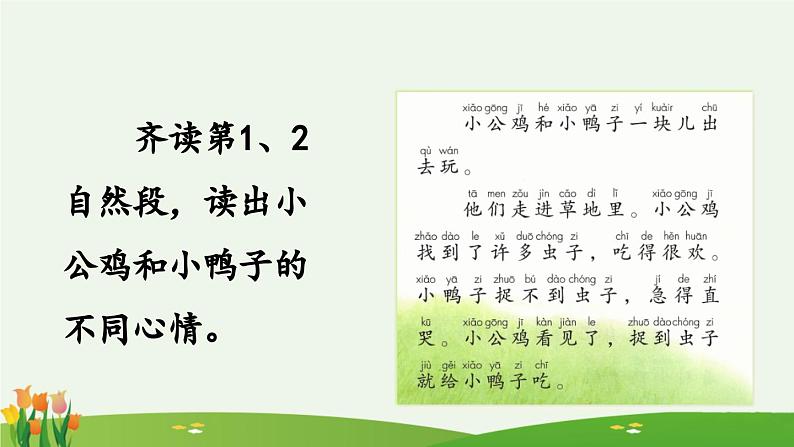 统编版小学语文 一年级下册  课文2 4《小公鸡和小鸭子》课件（第二课时）第2页