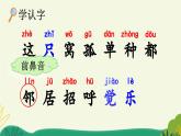 统编版小学语文 一年级下册  课文2 5《树和喜鹊》课件（第一课时）