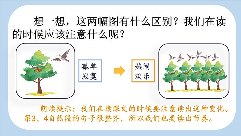 统编版小学语文 一年级下册  课文2 5《树和喜鹊》新课标课件（第二课时）第3页