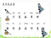 统编版小学语文 一年级下册  课文2 5《树和喜鹊》学习任务群教学课件