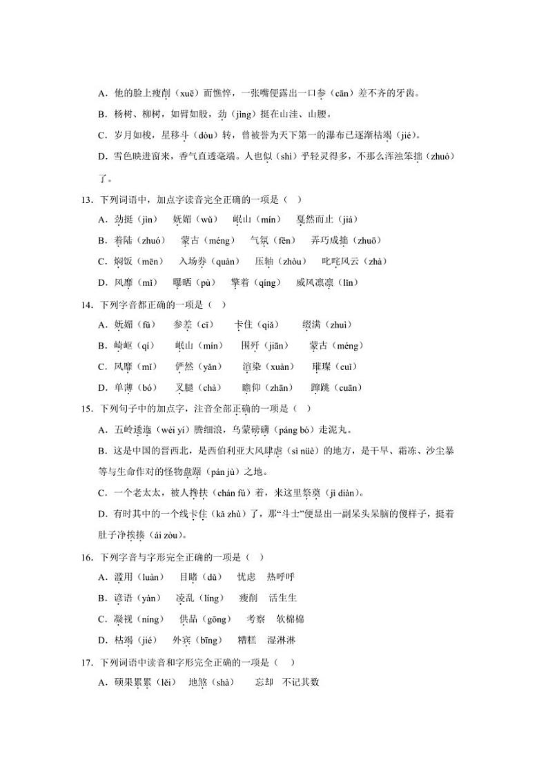 2024～2025学年统编版六年级上册语文期末专题训练：字音、字形、字义试卷(含答案)第3页