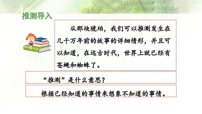 统编版小学语文 四年级下册 2-5《琥珀》 课件（第二课时）第3页