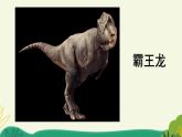 统编版小学语文 四年级下册 2-6《飞向蓝天的恐龙》课件（第一课时）