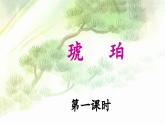 统编版小学语文 四年级下册 2-5《琥珀》 课件（第一课时）