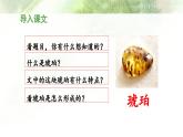 统编版小学语文 四年级下册 2-5《琥珀》 课件（第一课时）