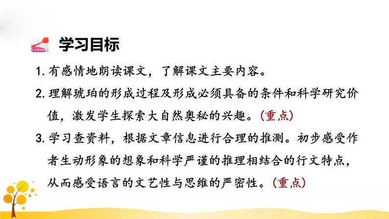 统编版小学语文 四年级下册 2-5《琥珀》教学课件（第二课时）第2页