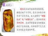 统编版小学语文 四年级下册 2-5《琥珀》课件（第一课时）