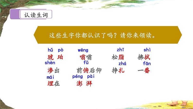 统编版小学语文 四年级下册 2-5《琥珀》课件（第一课时）第5页