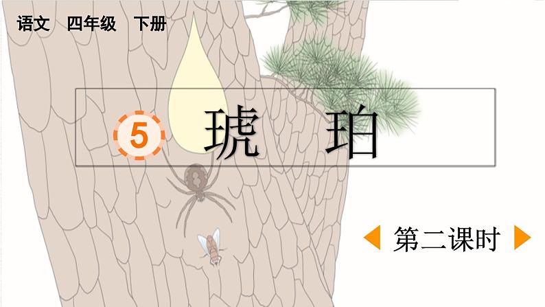 统编版小学语文 四年级下册 2-5《琥珀》课件（第二课时）第1页