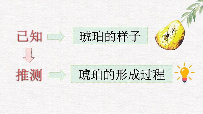 统编版小学语文 四年级下册 2-5《琥珀》课件（第二课时）第5页