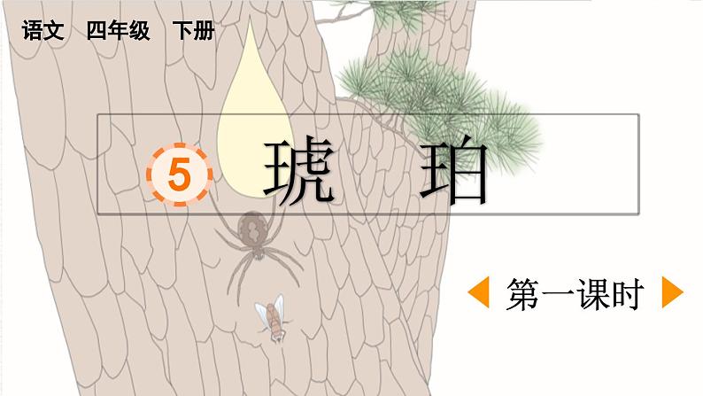 统编版小学语文 四年级下册 2-5《琥珀》课件（第一课时）第1页