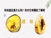 统编版小学语文 四年级下册 2-5《琥珀》课件（第一课时）