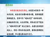 统编版小学语文 四年级下册 2-7《纳米技术就在我们身边》 课件（第二课时）