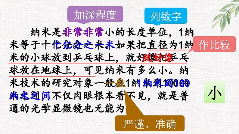 统编版小学语文 四年级下册 2-7《纳米技术就在我们身边》课件（第二课时）第4页